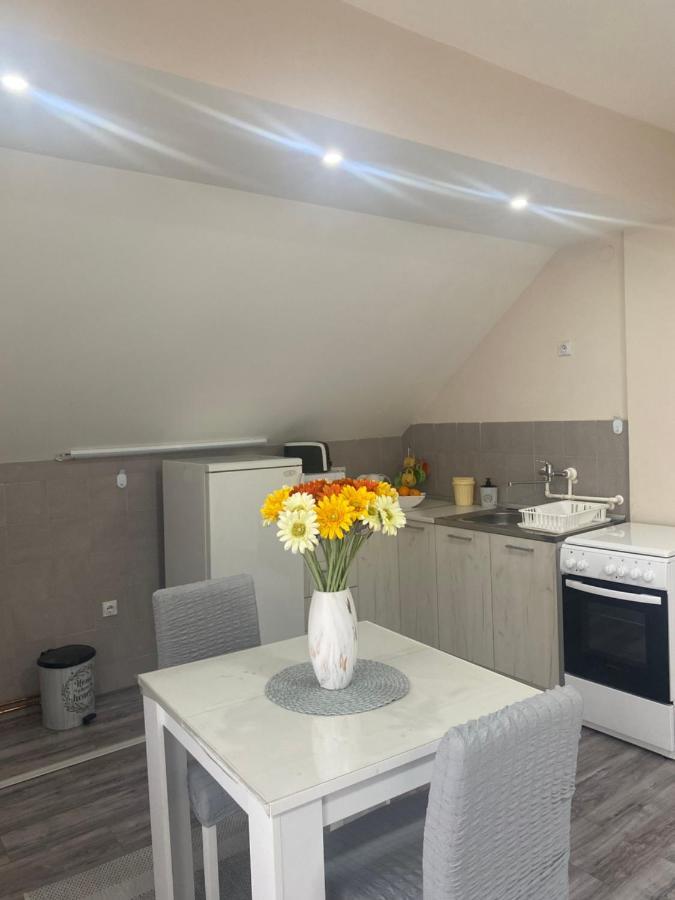 อพาร์ตเมนต์ 2 ห้องนอน 1 ห้องน้ำส่วนตัว ขนาด 64 ตร.ม. – ตูตูโนวิซ ปอดรุม Apartment นิส ภายนอก รูปภาพ