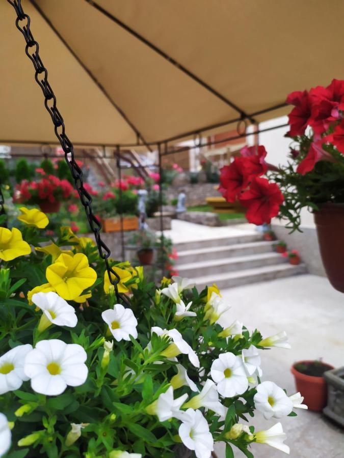 อพาร์ตเมนต์ 2 ห้องนอน 1 ห้องน้ำส่วนตัว ขนาด 64 ตร.ม. – ตูตูโนวิซ ปอดรุม Apartment นิส ภายนอก รูปภาพ